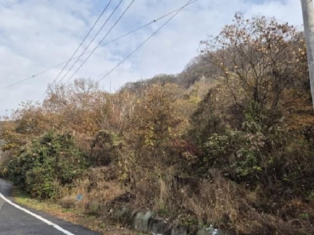 B000510202501300071732.jpg