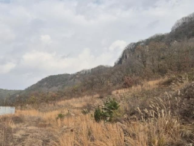 B000510202501300071731.jpg
