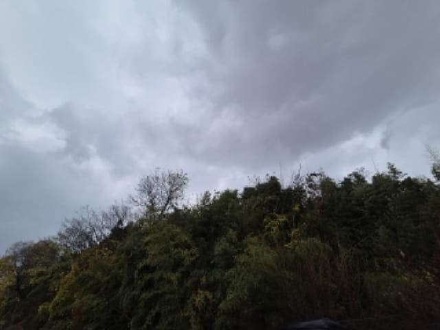 B000510202501300071971.jpg