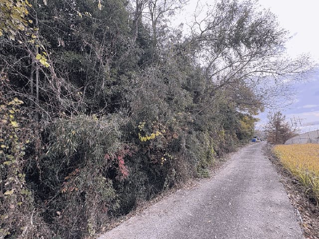 B000510202501300071973.jpg