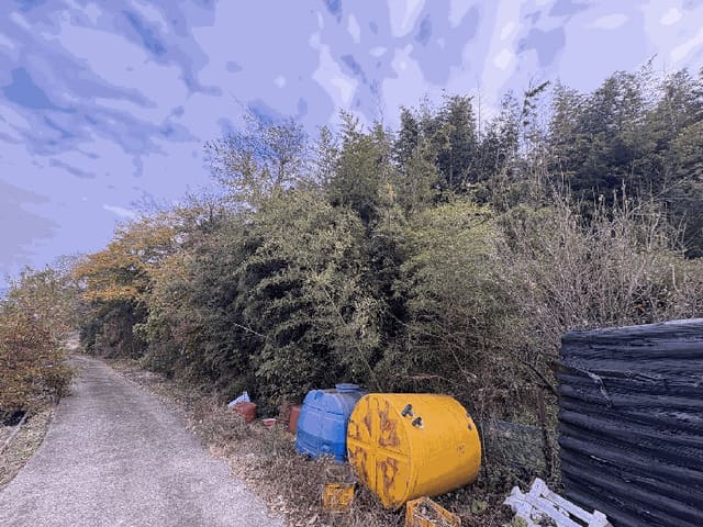 B000510202501300071974.jpg