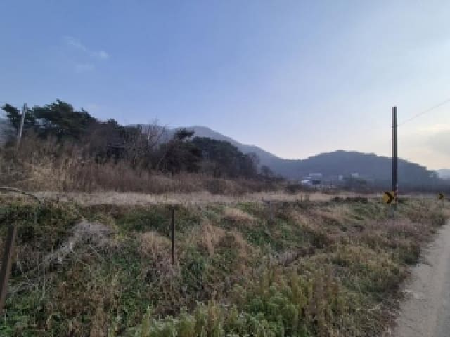 B000510202501300073951.jpg