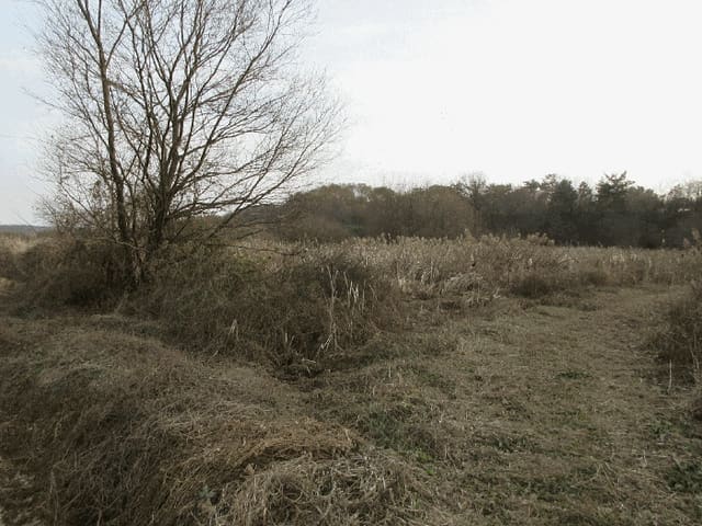 B000510202501300074944.jpg