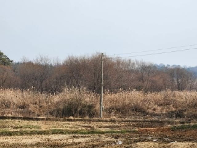 B000510202501300074941.jpg