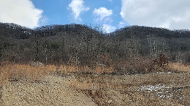 B000510202501300304704.jpg
