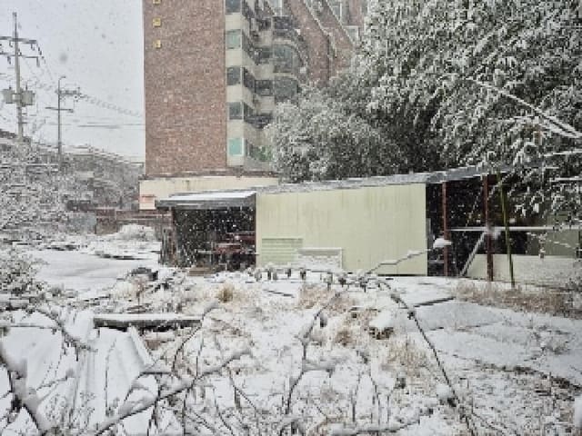 B000510202501300310602.jpg