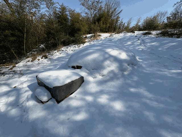 B000510202501300319623.jpg