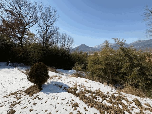 B000510202501300319624.jpg