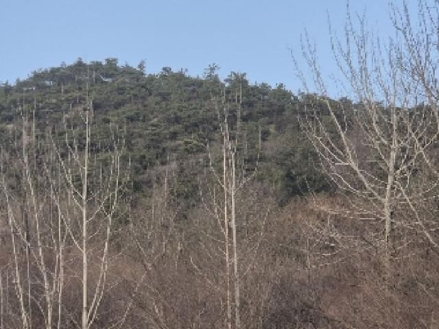 B000510202501300320432.jpg