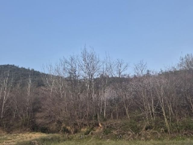 B000510202501300320431.jpg