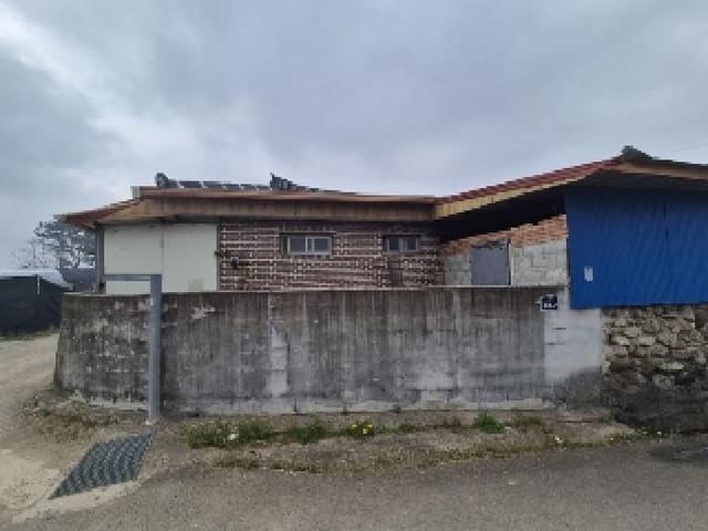 B000510202501300322571.jpg
