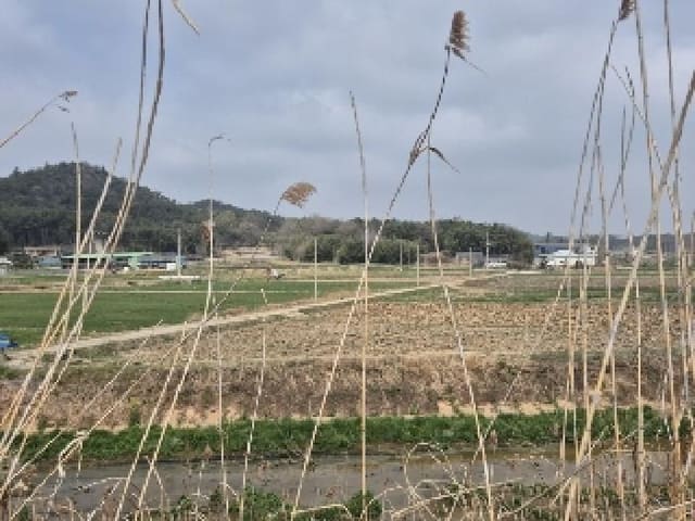 B000510202501300323731.jpg
