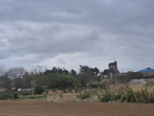 B000510202501300323831.jpg