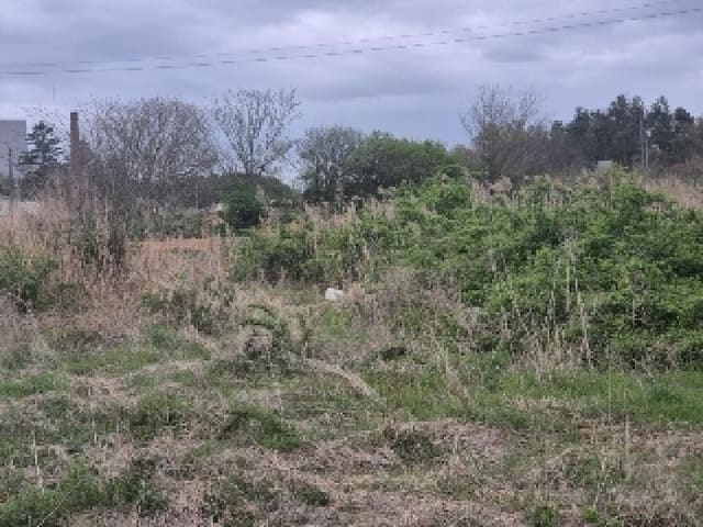B000510202501300323833.jpg
