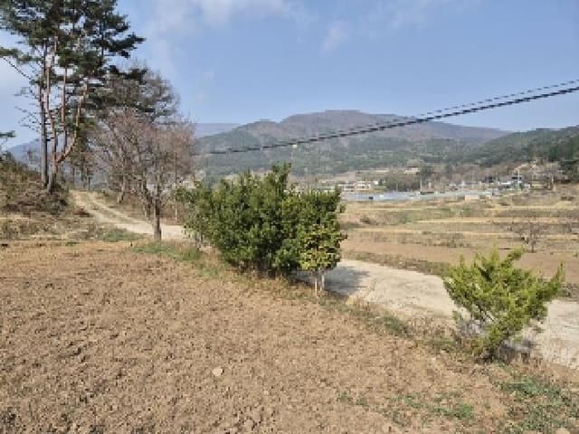 B000510202501300324163.jpg