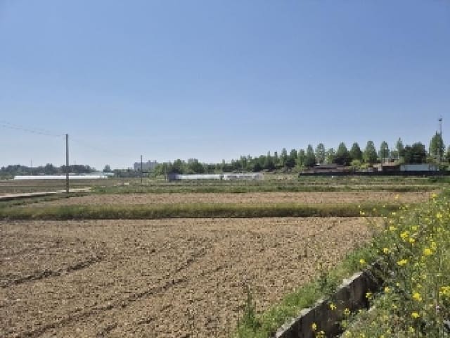 B000510202501300325601.jpg