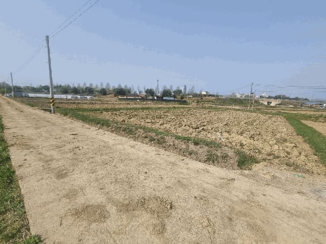 B000510202501300325604.jpg