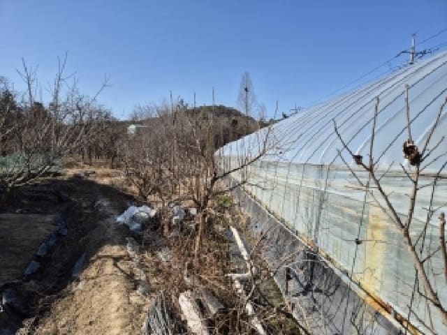 B000510202501300325722.jpg