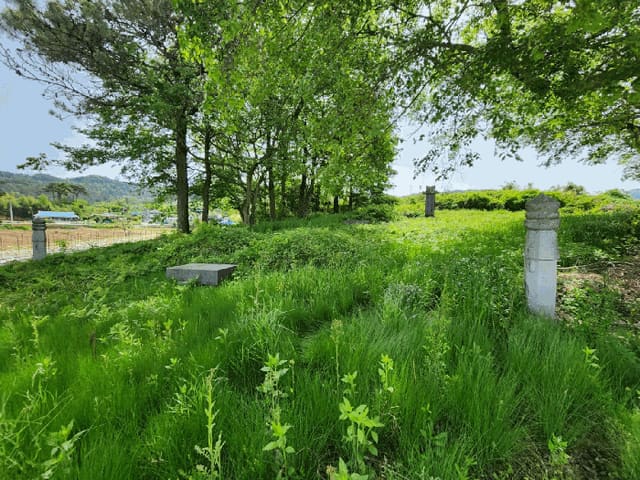 B0005102025013003261915.jpg