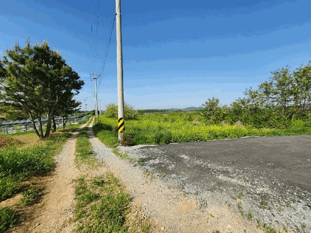 B0005102025013003261917.jpg