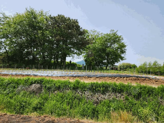 B0005102025013003261916.jpg