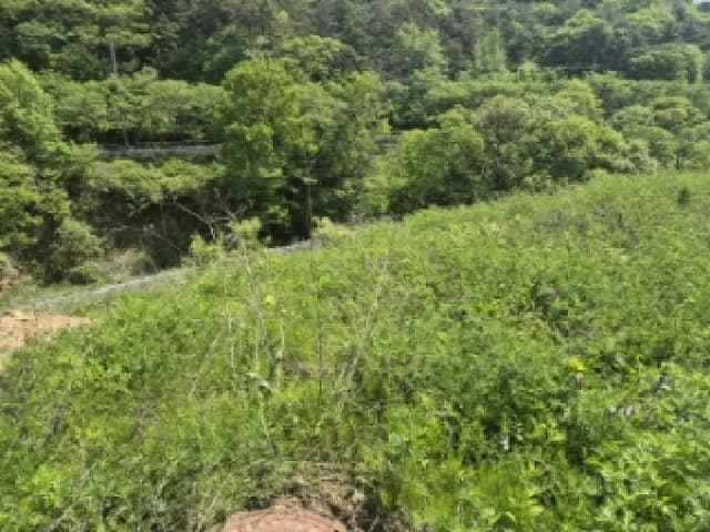 B000510202501300326242.jpg