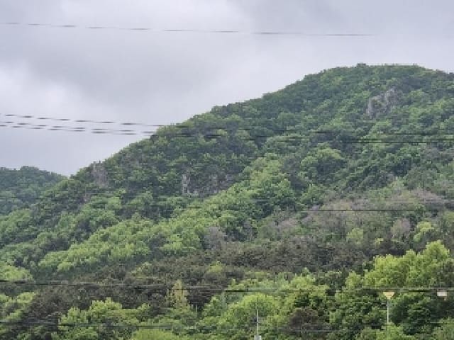 B000510202501300326511.jpg