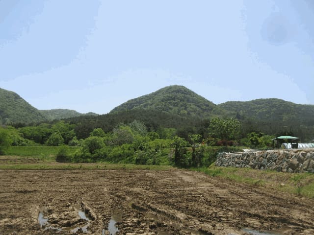 B000510202501300326514.jpg