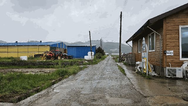 B000510202501300326814.jpg