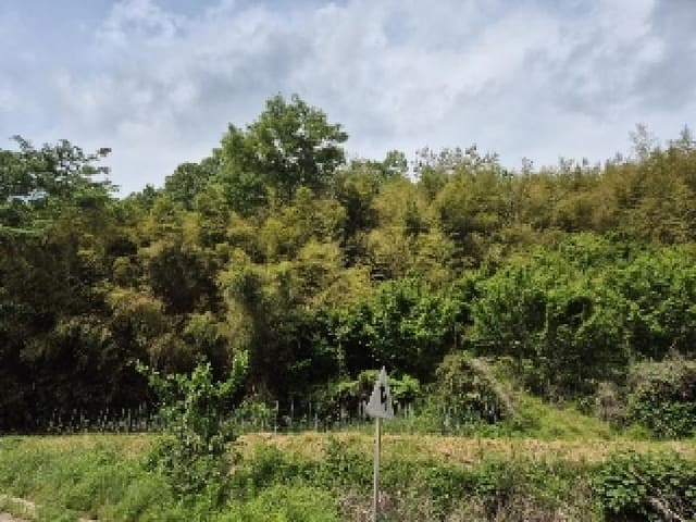 B000510202501300327234.jpg