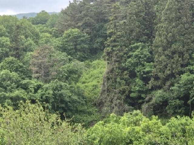 B000510202501300327233.jpg