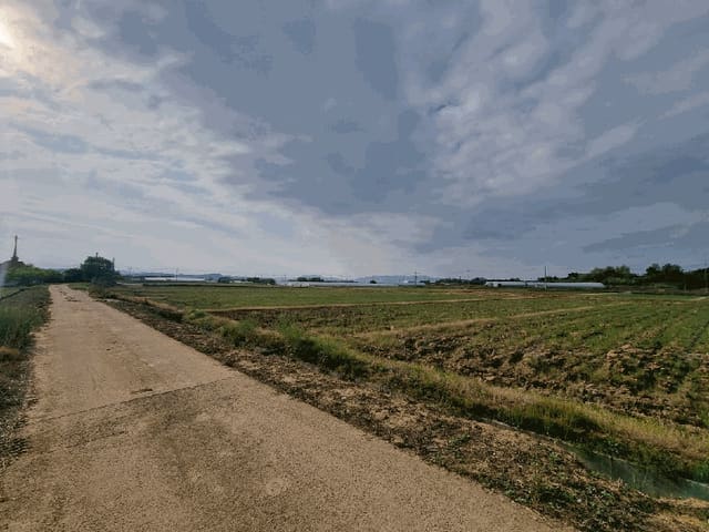 B000510202501300327473.jpg