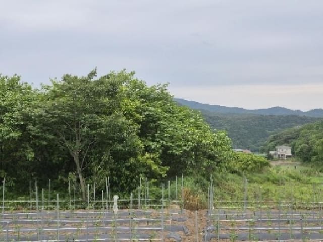 B000510202501300328191.jpg