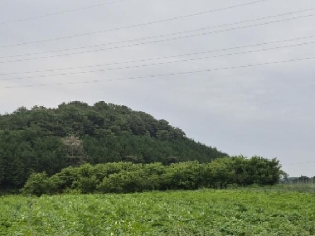 B000510202501300328192.jpg