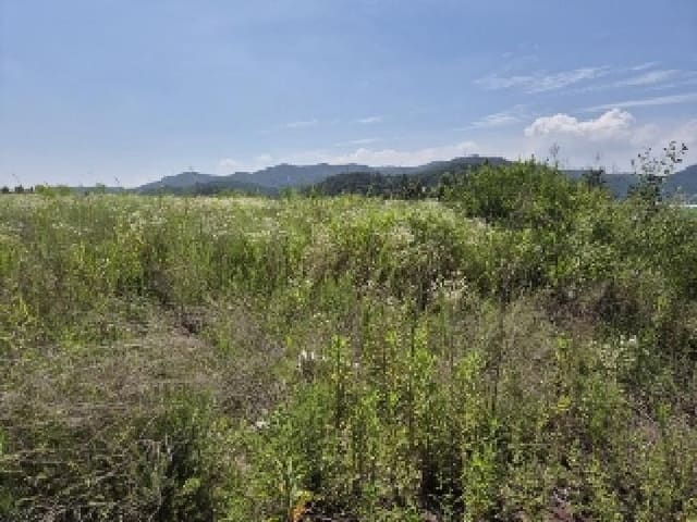 B000510202501300329003.jpg