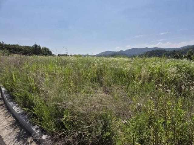 B000510202501300329002.jpg