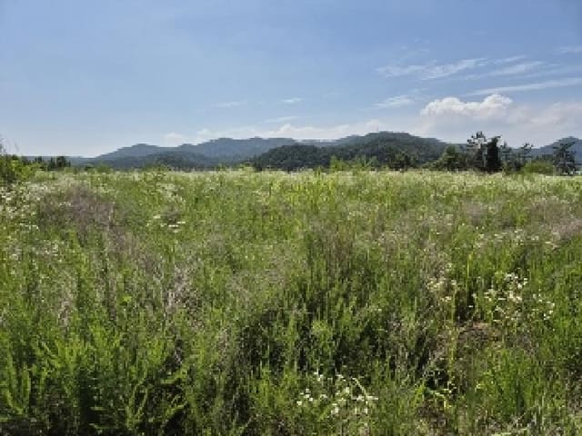 B000510202501300329004.jpg