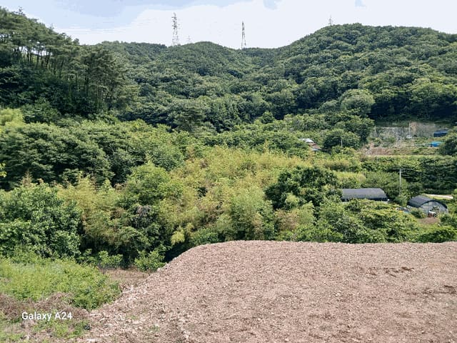B000510202501300329024.jpg