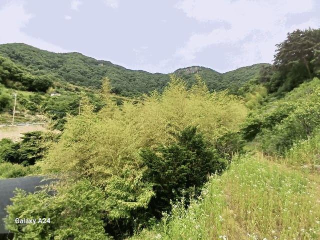 B000510202501300329026.jpg