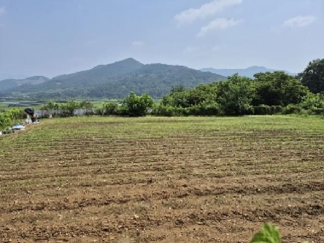 B000510202501300330752.jpg