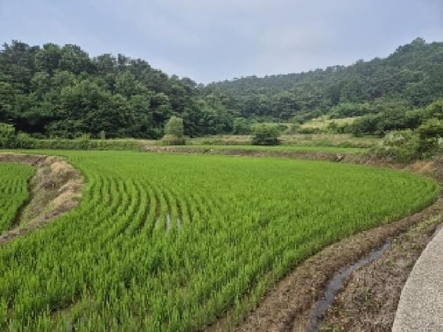B000510202501300330811.jpg