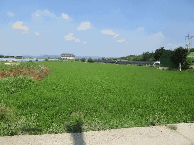 B000510202501300331558.jpg