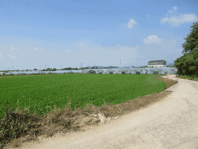 B000510202501300331559.jpg