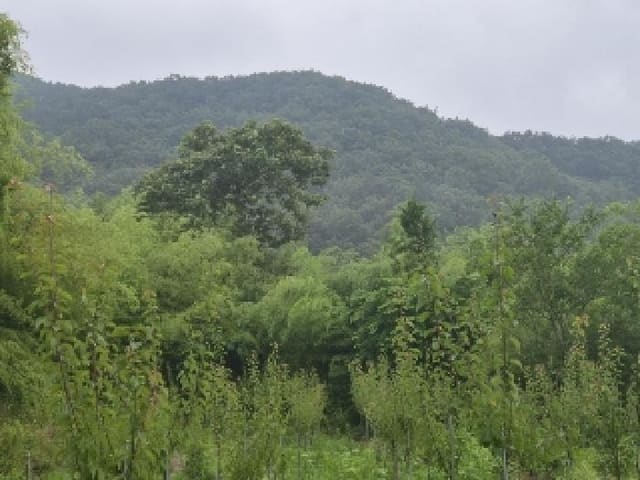 B000510202501300331891.jpg