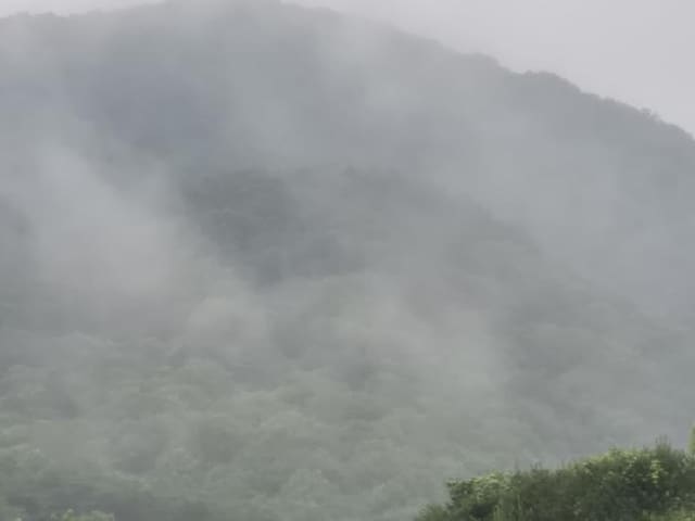 B000510202501300331892.jpg