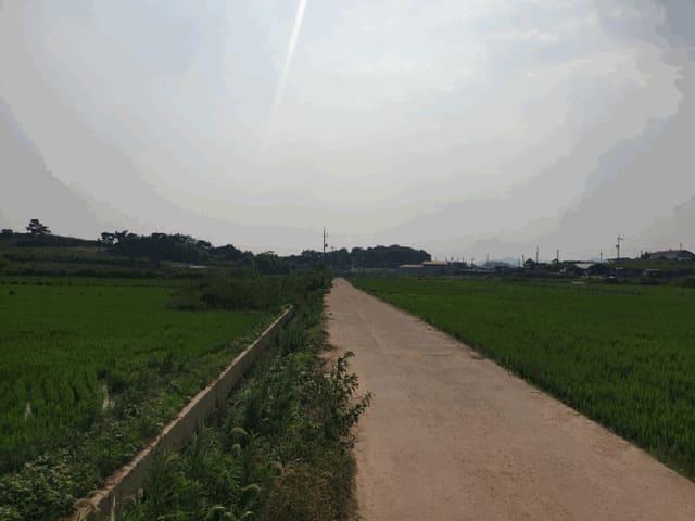 B000510202501300332433.jpg