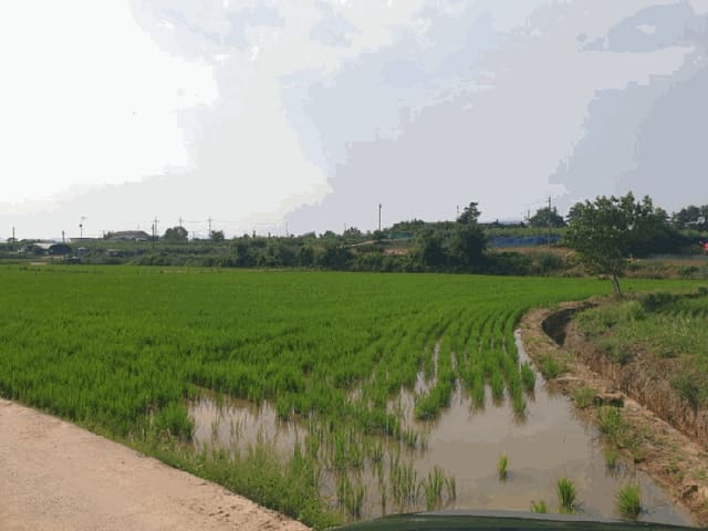 B000510202501300332434.jpg