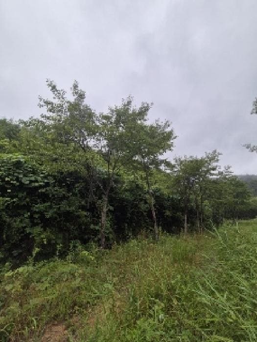 B000510202501300332552.jpg