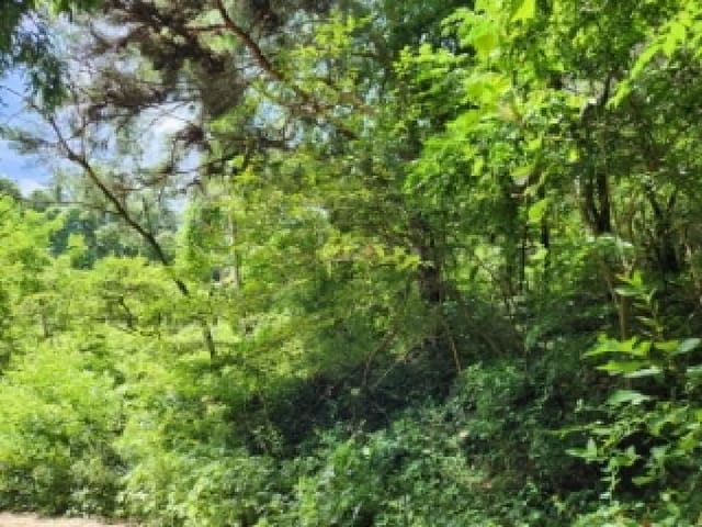 B000510202501300334611.jpg
