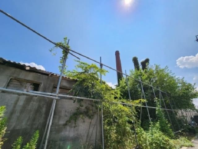B000510202501300334634.jpg